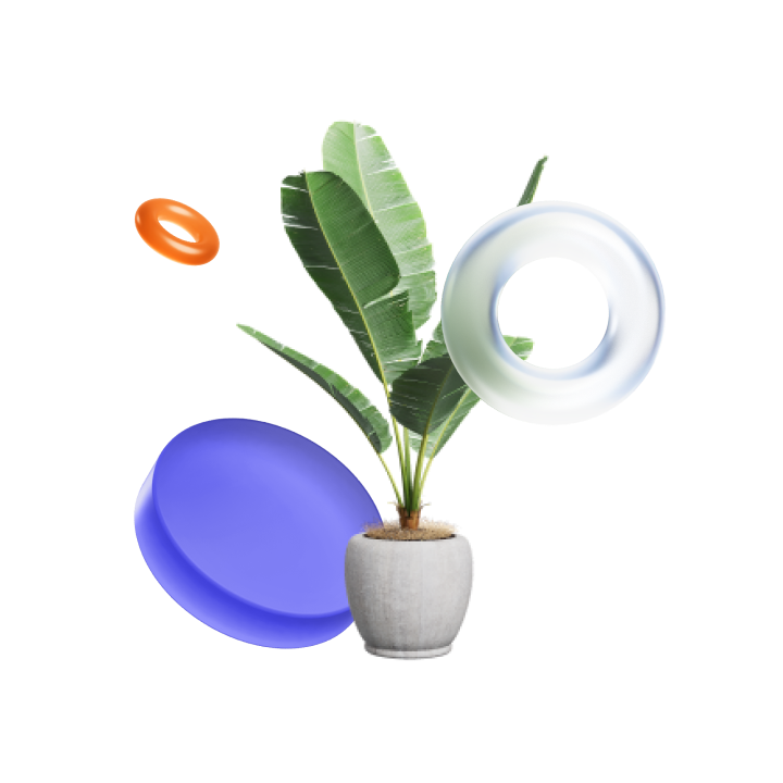 Моя территория