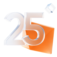 25 рабочих дней