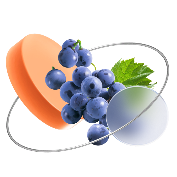 Гибридное цифровое право (ГЦП) на молодое вино