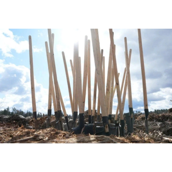 &laquo;Лес Победы 2022&raquo;: объединяем экологию и&nbsp;патриотизм