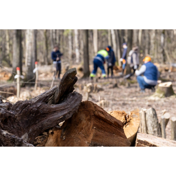 &laquo;Русская дубрава&raquo;